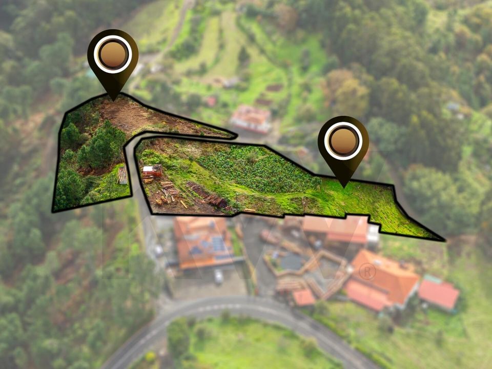 Helårsgrund i Santa Cruz, Madeira - foto 4