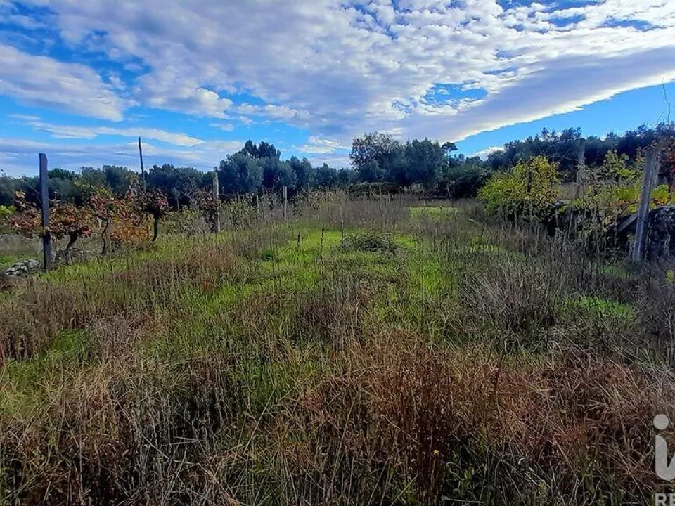 Helårsgrund i Oliveira do Hospital, Coimbra - foto 4
