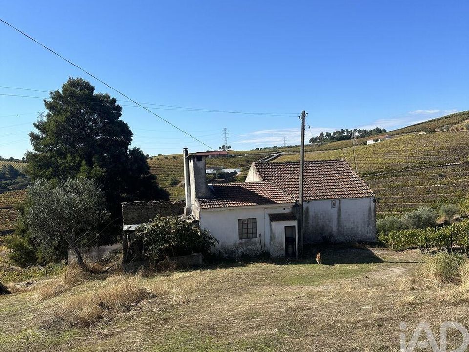 Farm i Peso da Regua, Vila Real - foto 1