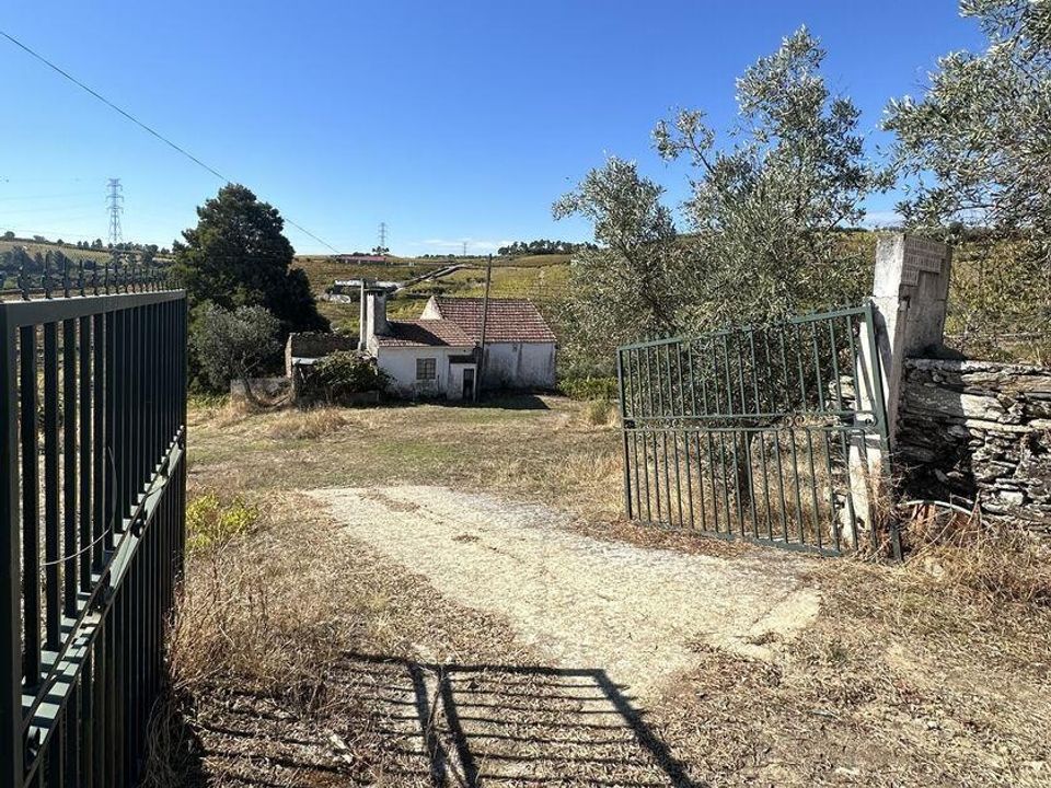Farm i Peso da Regua, Vila Real - foto 4