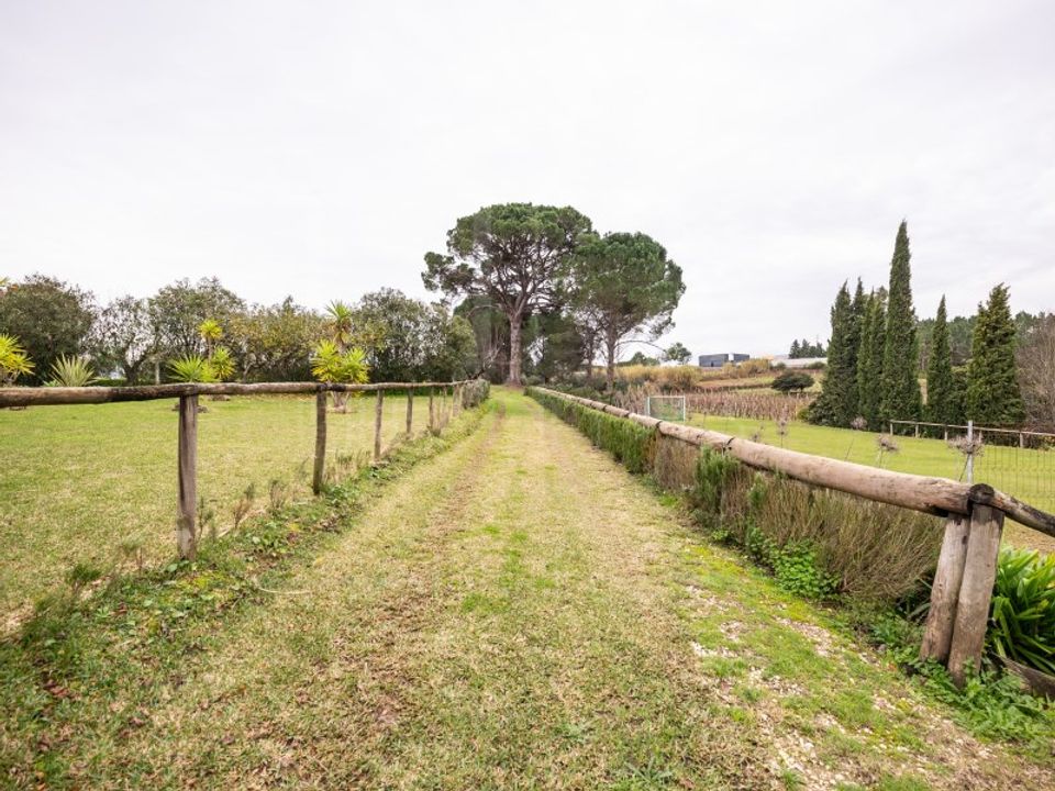 Farm i Coimbra, Coimbra - foto 4