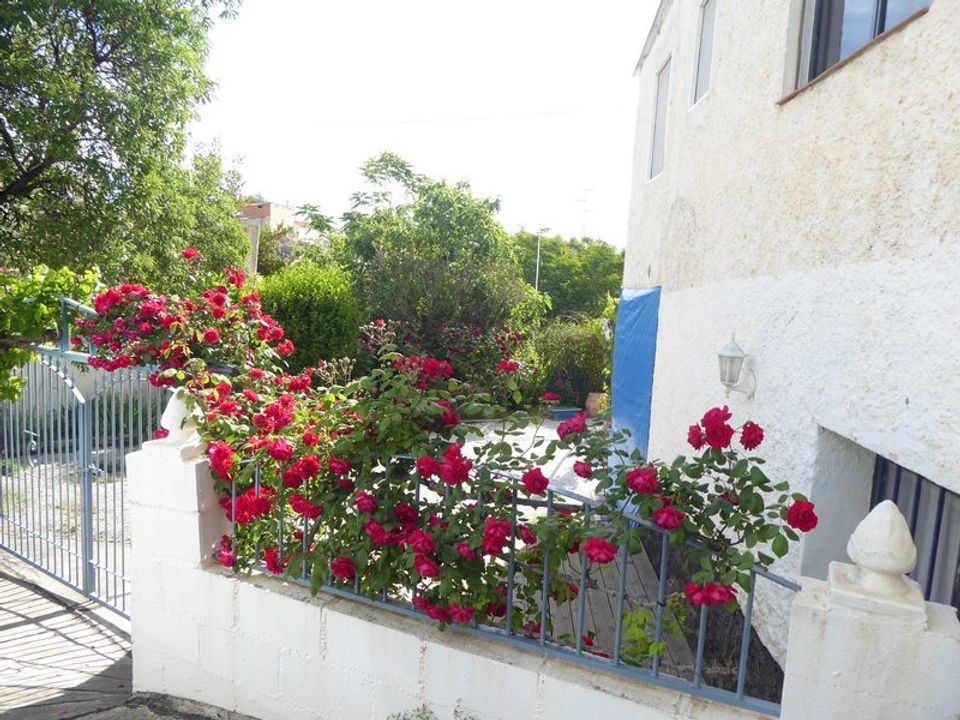 Landejendom i Castillejar, Granada - foto 5