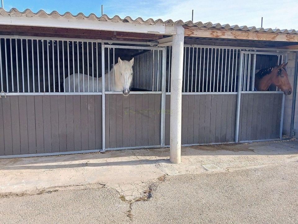 Finca i Monovar, Alicante - foto 2