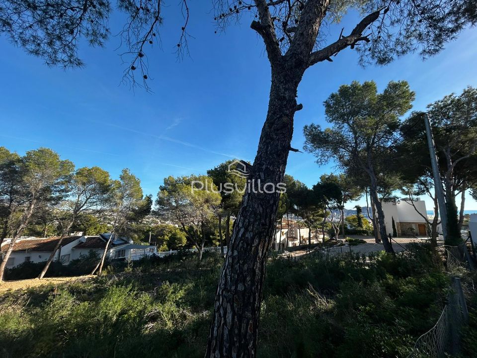 Helårsgrund i Moraira, Alicante - foto 5