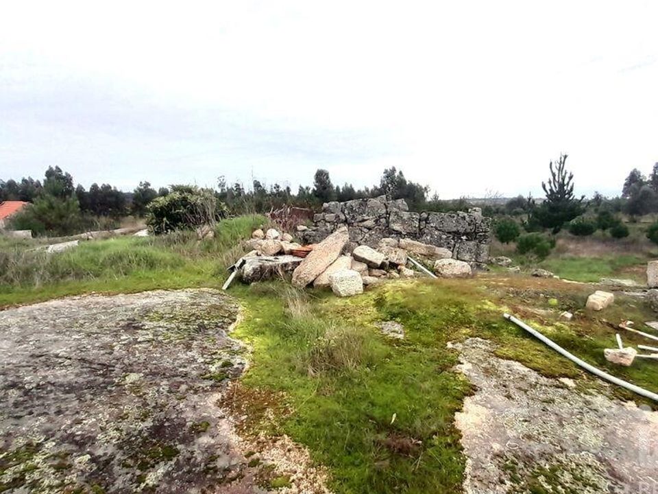 Helårsgrund i Oliveira do Hospital, Coimbra - foto 2