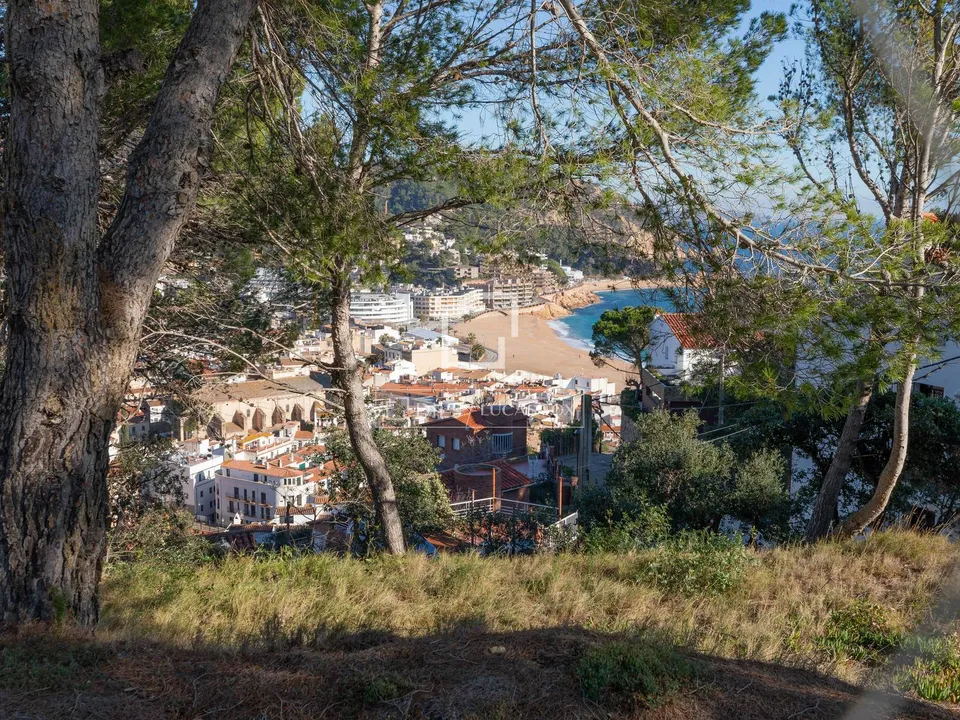 Grond in Tossa De Mar, Gerona - foto 3