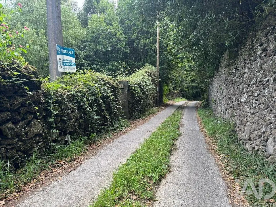 Maa Lagoassa, Sao Miguel - kuva 1