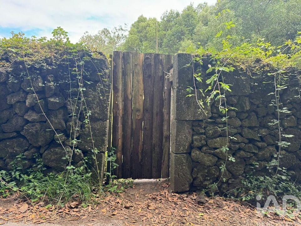 Maa Lagoassa, Sao Miguel - kuva 5