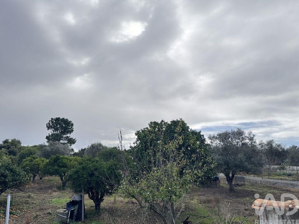 Byhus i Odemira, Beja - foto 5