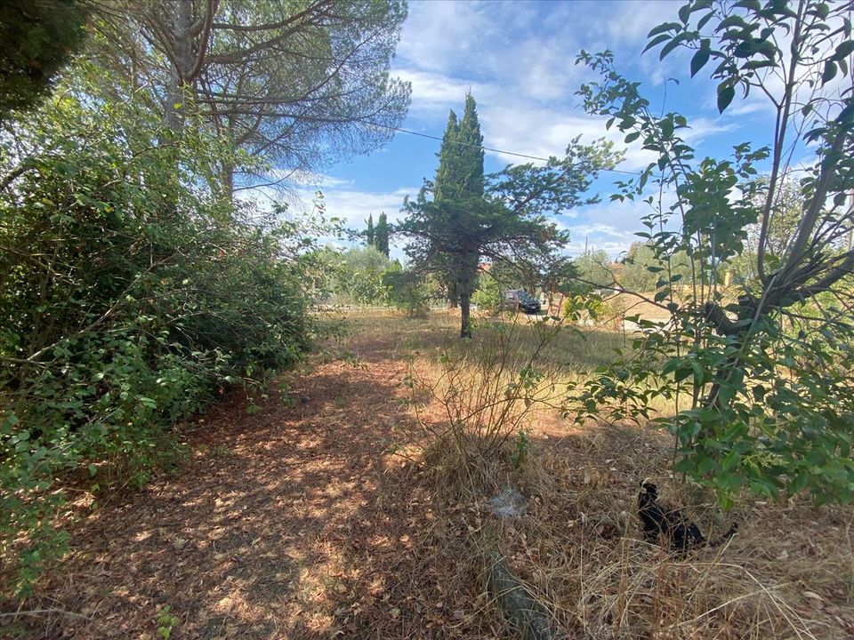 Villa a Castiglione del Lago, Perugia - foto 4