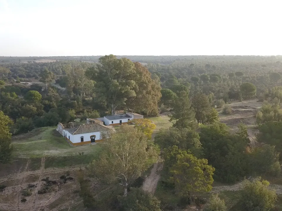 Finca i Almonte, Huelva - bilde 2