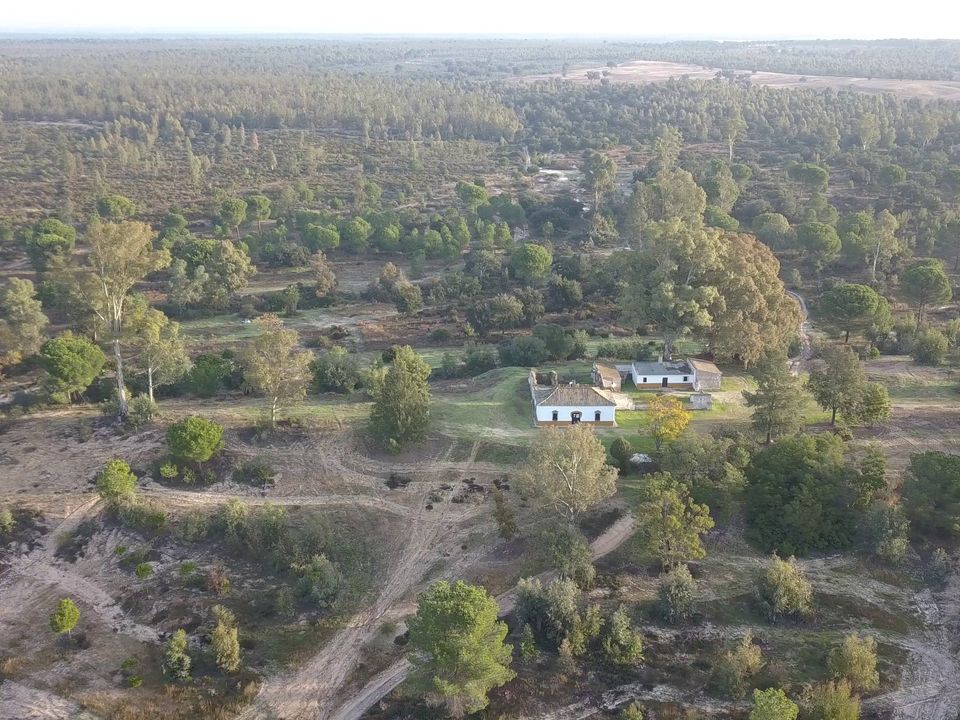 Finca i Almonte, Huelva - bilde 3