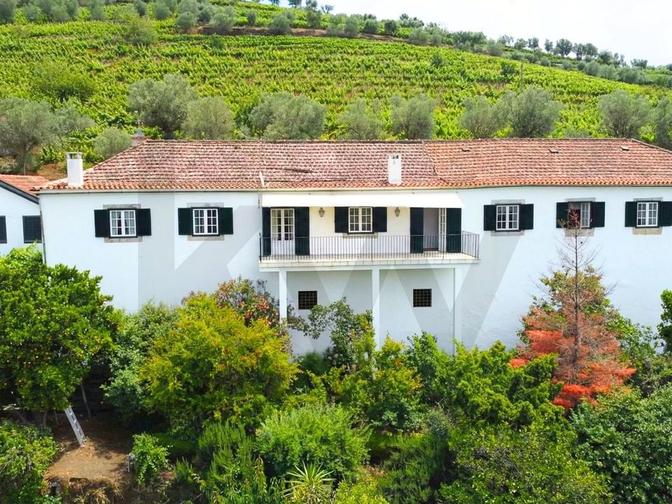 Farm i Lamego, Viseu - foto 2