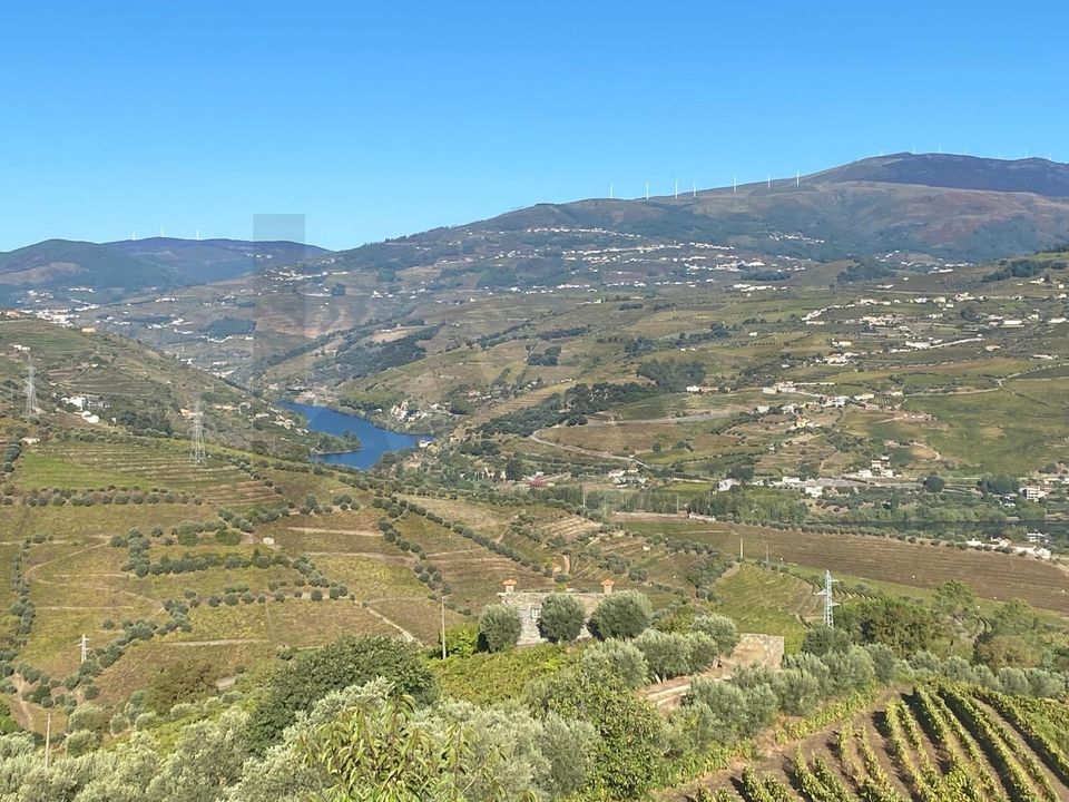 Farm i Lamego, Viseu - foto 3