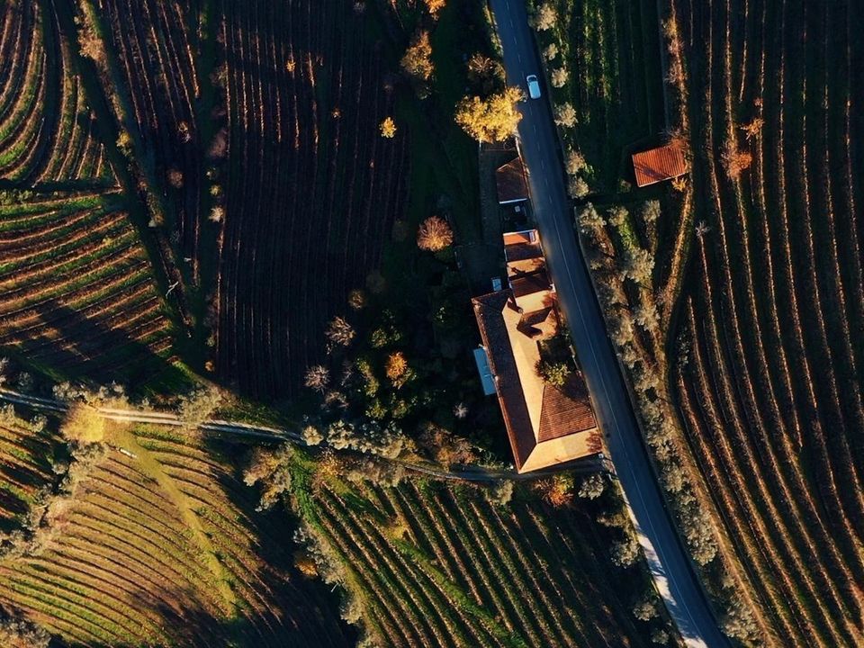 Farm i Lamego, Viseu - foto 4
