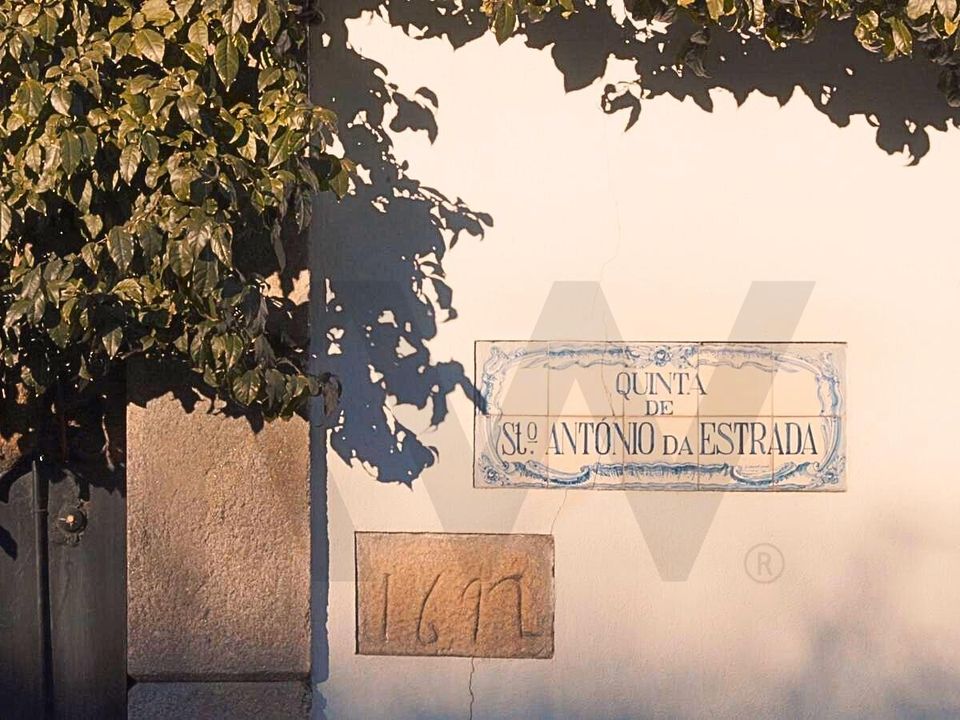 Farm i Lamego, Viseu - foto 5