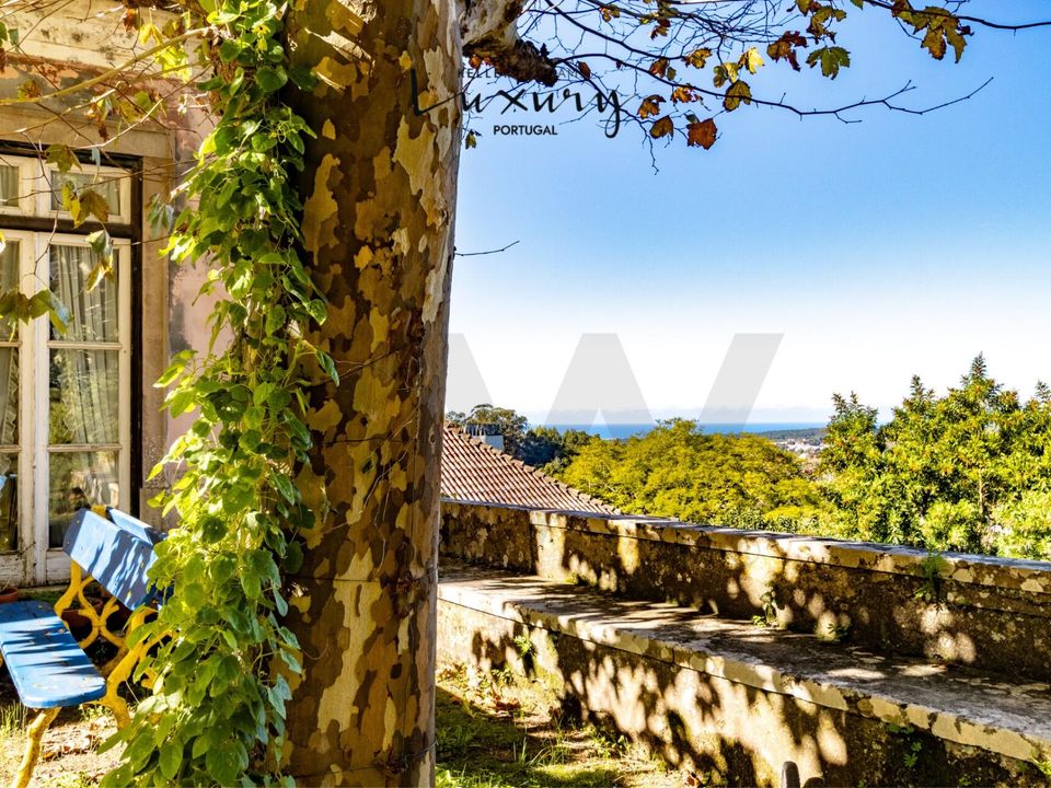 Farm i Sintra, Lisbon - foto 4