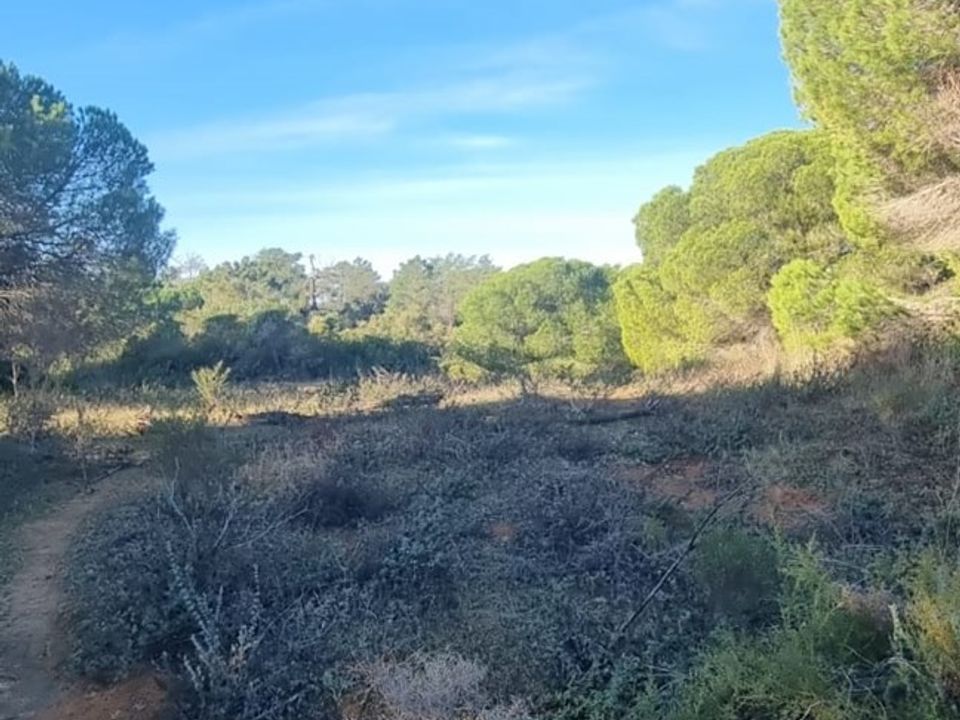 Lejlighed i Silves, Faro - foto 2