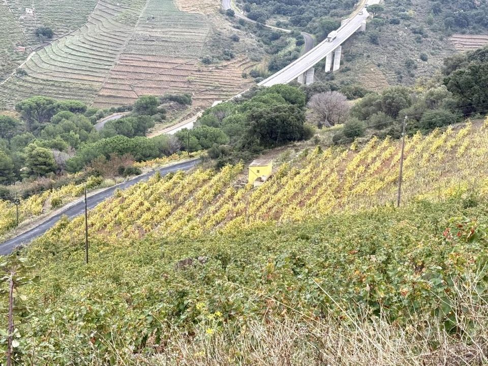Helårsgrund i Collioure, Pyrenees-Orientales - foto 2