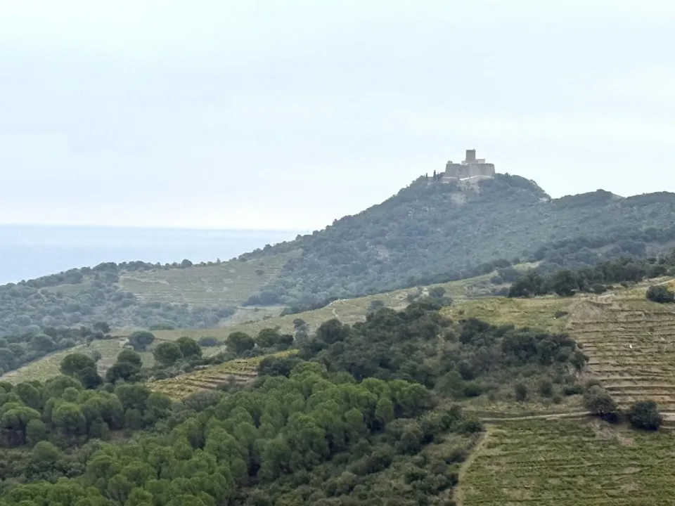 Helårsgrund i Collioure, Pyrenees-Orientales - foto 4