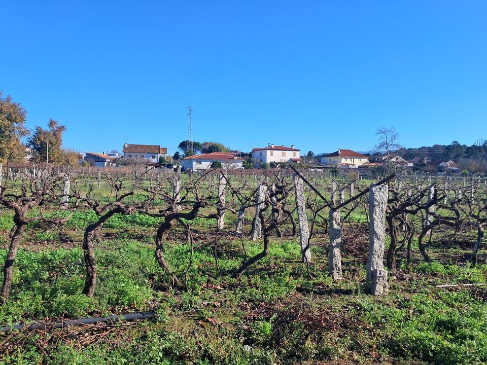 Helårsgrund i Moncao, Viana do Castelo - foto 4