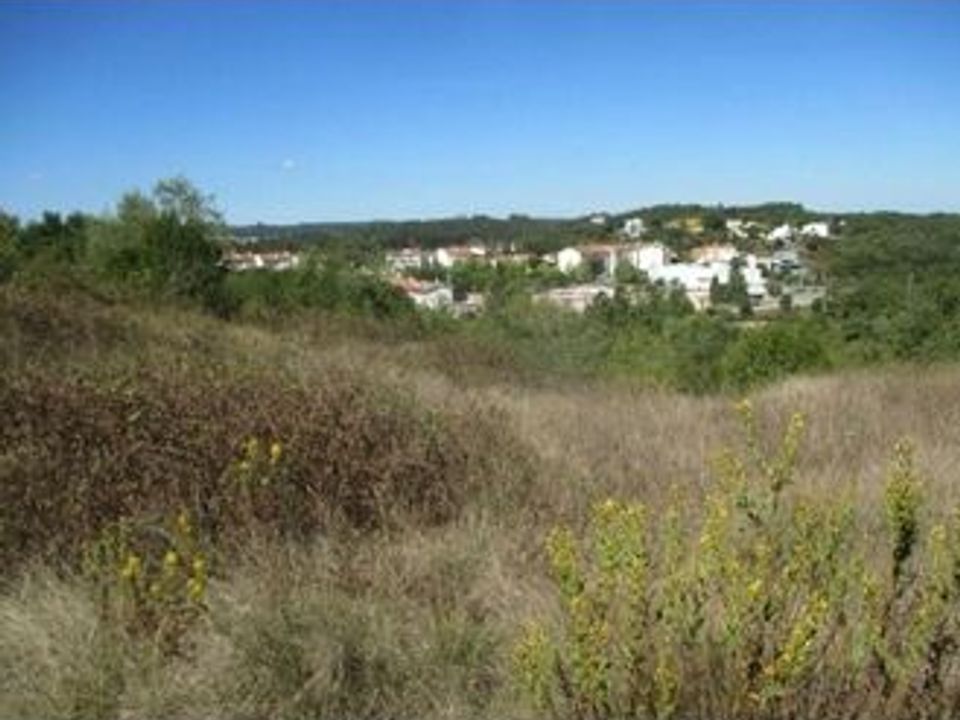 Terreno en Soure, Coimbra - foto 3