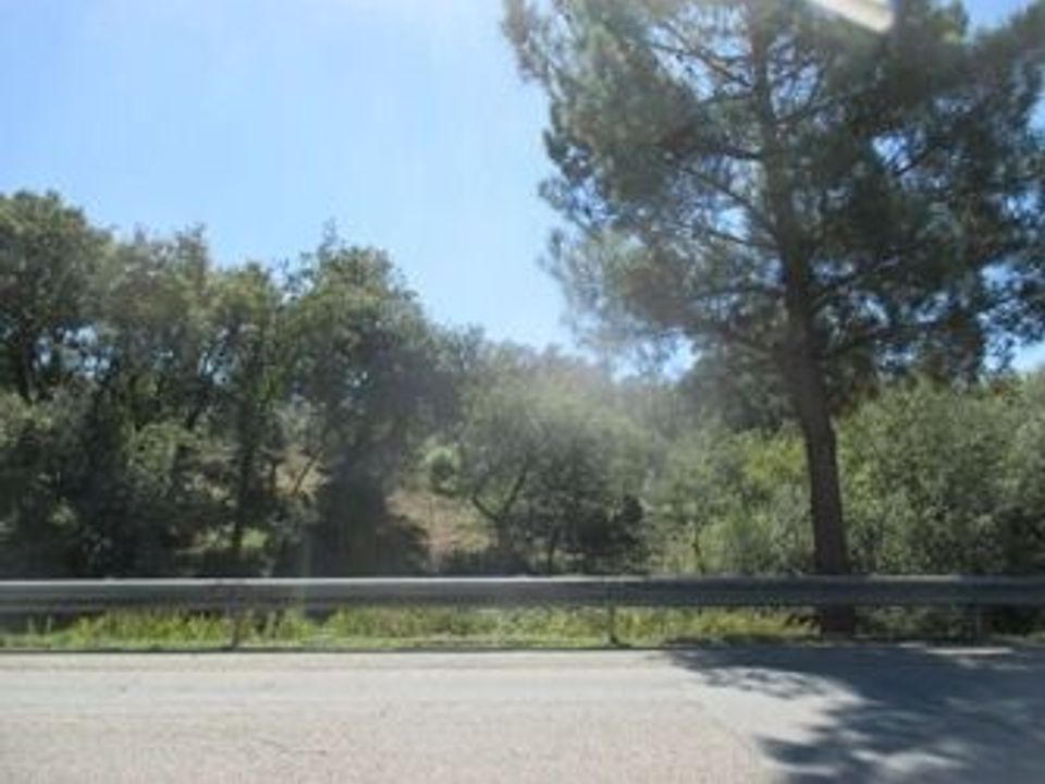 Terreno en Soure, Coimbra - foto 5