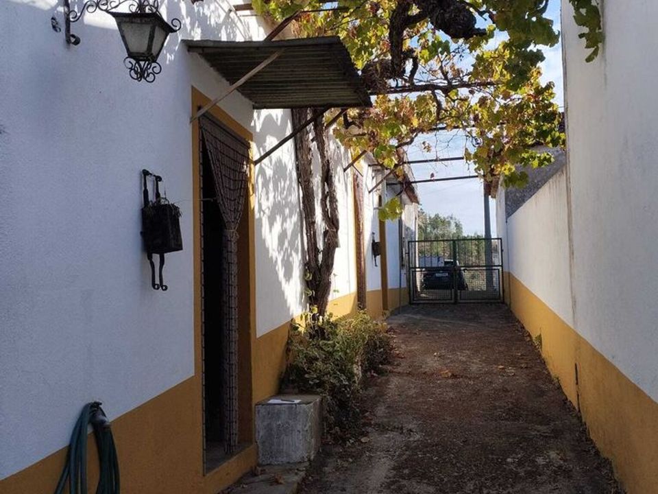 Farm i Mouriscas, Santarem - foto 2