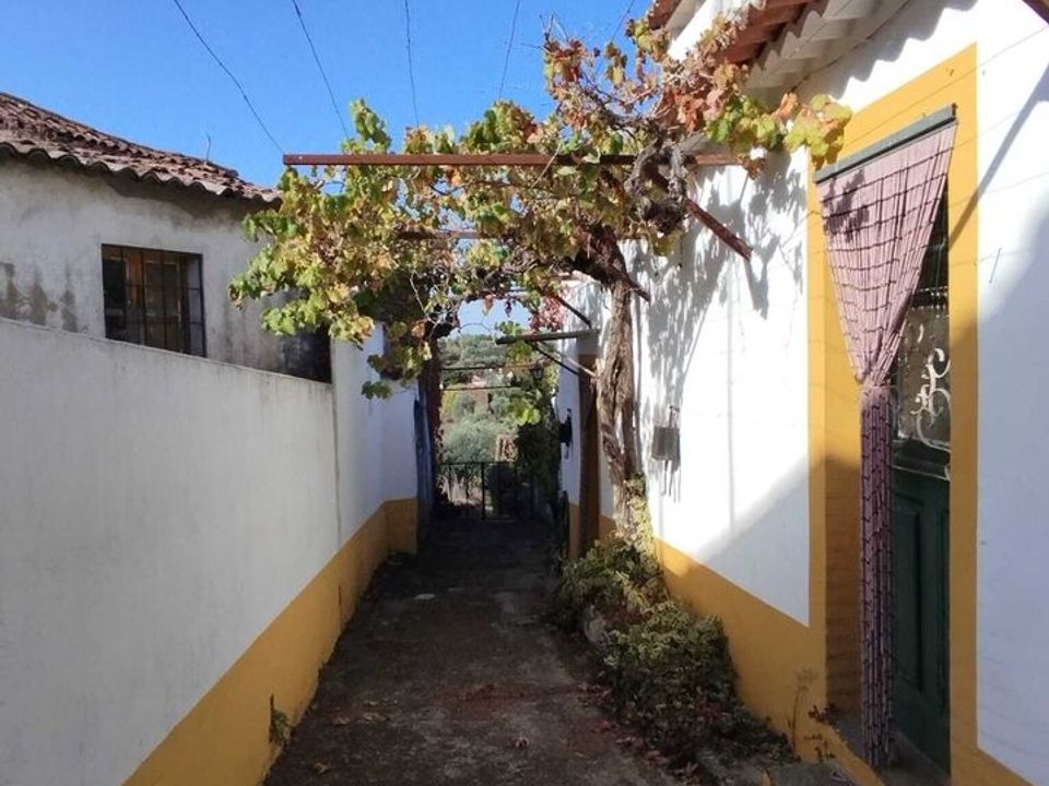 Farm i Mouriscas, Santarem - foto 3