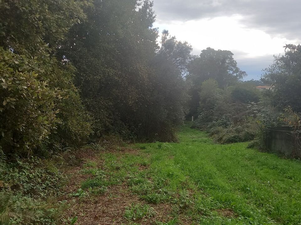 Farm i Moncao, Viana do Castelo - foto 1