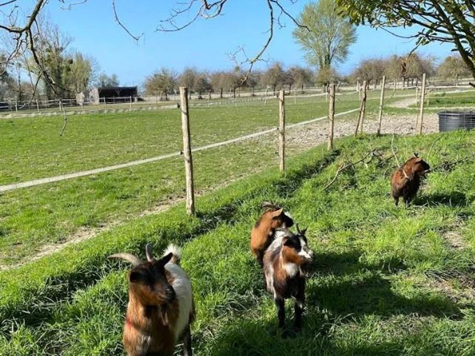 Erhvervsejendom i Mont-Dol, Ille-et-Vilaine - foto 3