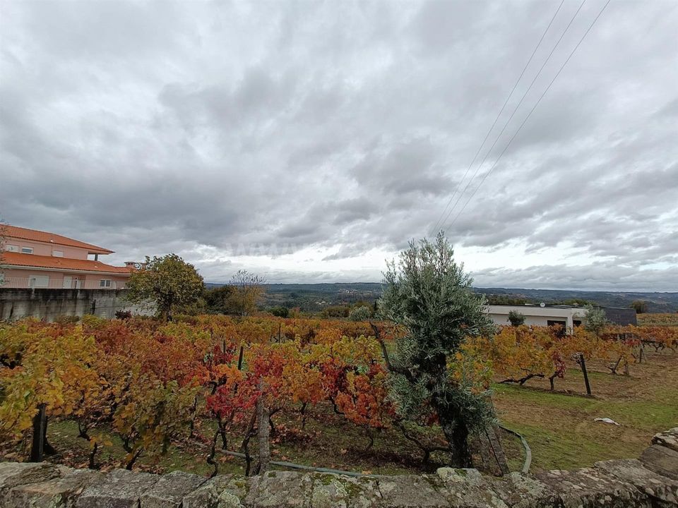 Helårsgrund i Penalva do Castelo, Viseu - foto 2