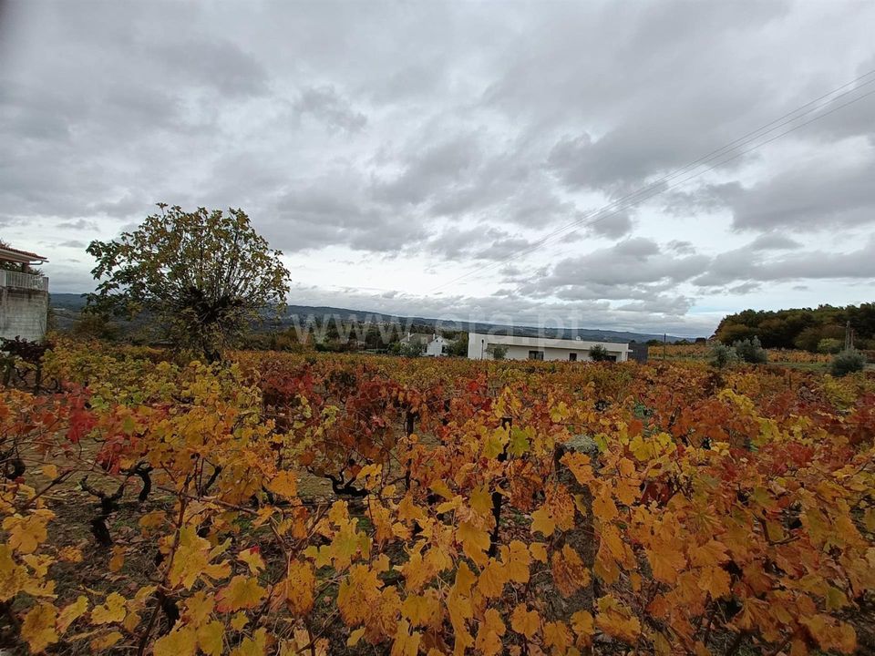Helårsgrund i Penalva do Castelo, Viseu - foto 3