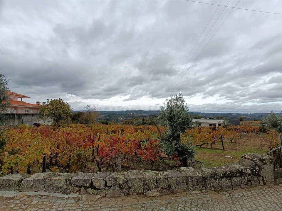 Helårsgrund i Penalva do Castelo, Viseu - foto 4