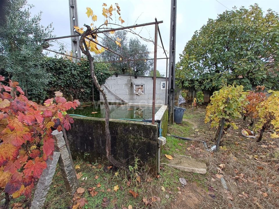 Helårsgrund i Penalva do Castelo, Viseu - foto 5