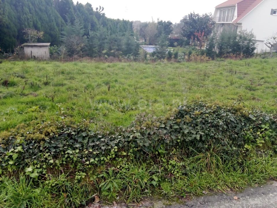 Helårsgrund i Mangualde, Viseu - foto 3