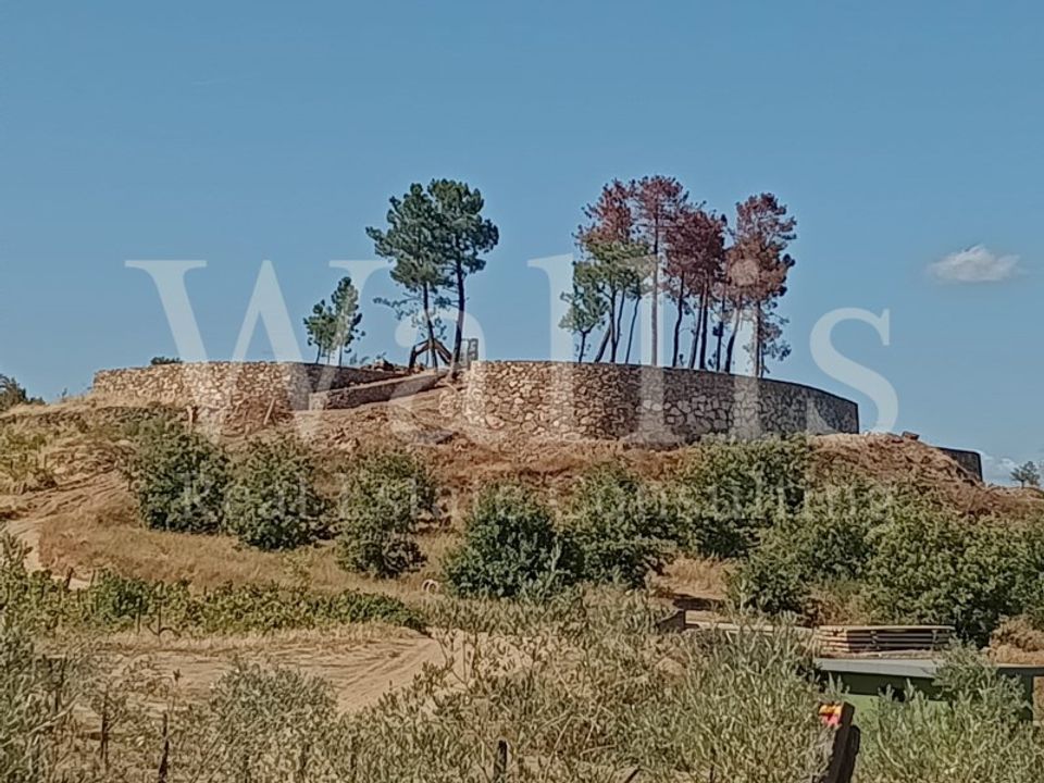 Farm i Figueira da Foz, Coimbra - foto 5