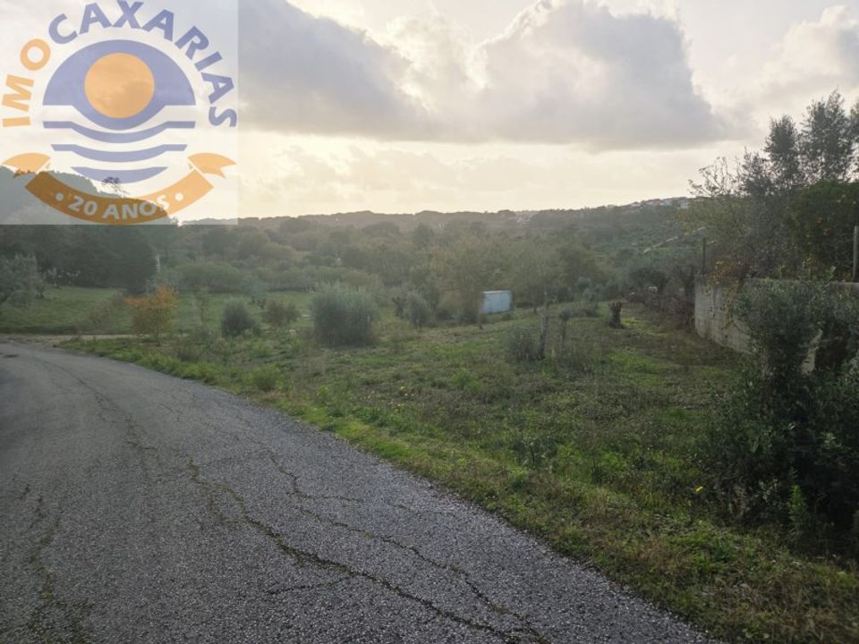 Helårsgrund i Ourem, Santarem - foto 5