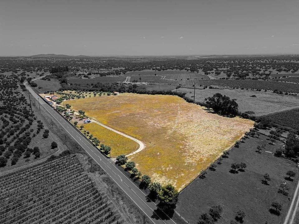 Farm hus i Reguengos de Monsaraz, Evora - foto 2