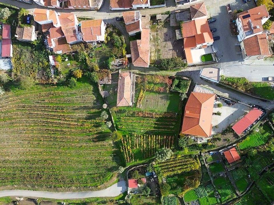 Lejlighed i Sao Joao da Pesqueira, Viseu - foto 4