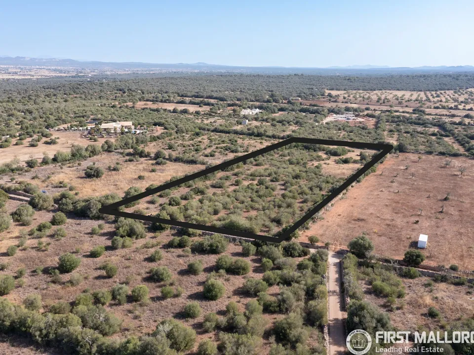 Terra a Campos, Mallorca - foto 2