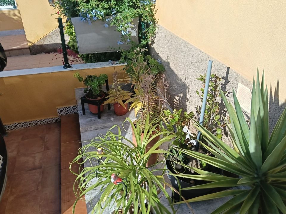 Apartment in Los Montesinos, Alicante - photo 5