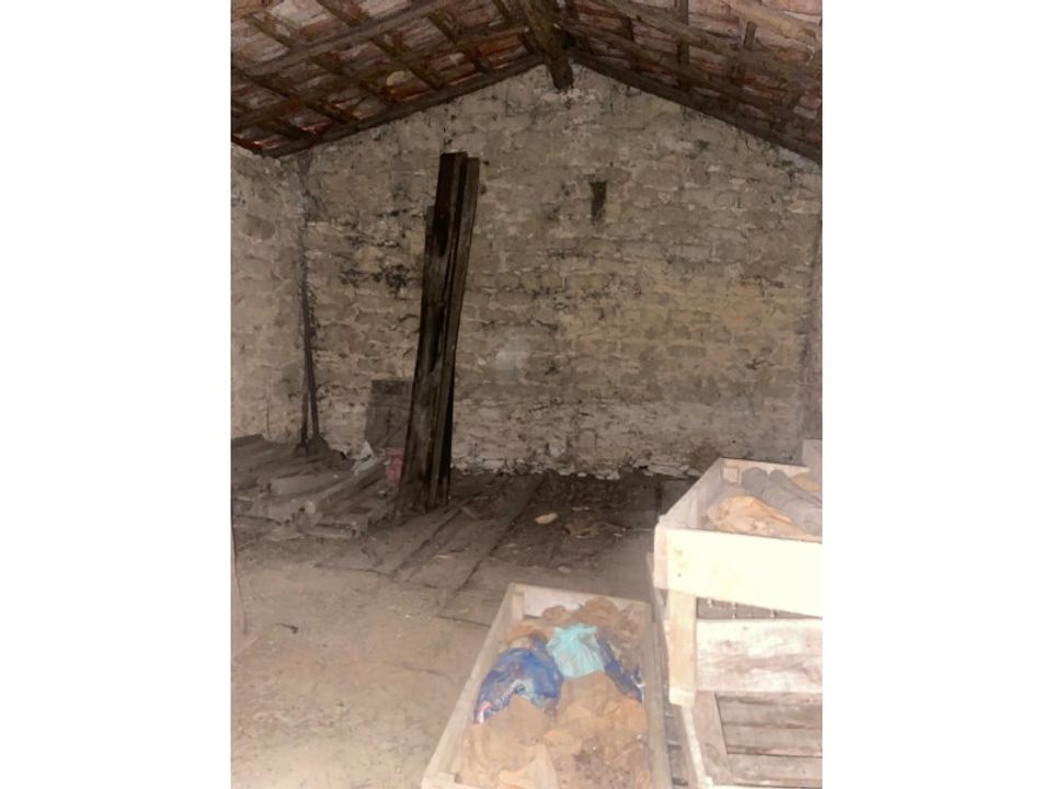 Landejendom i Montemor-o-Velho, Coimbra - foto 4