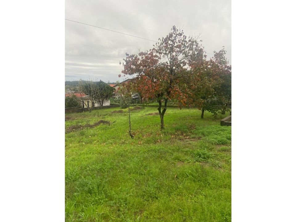 Landejendom i Montemor-o-Velho, Coimbra - foto 5