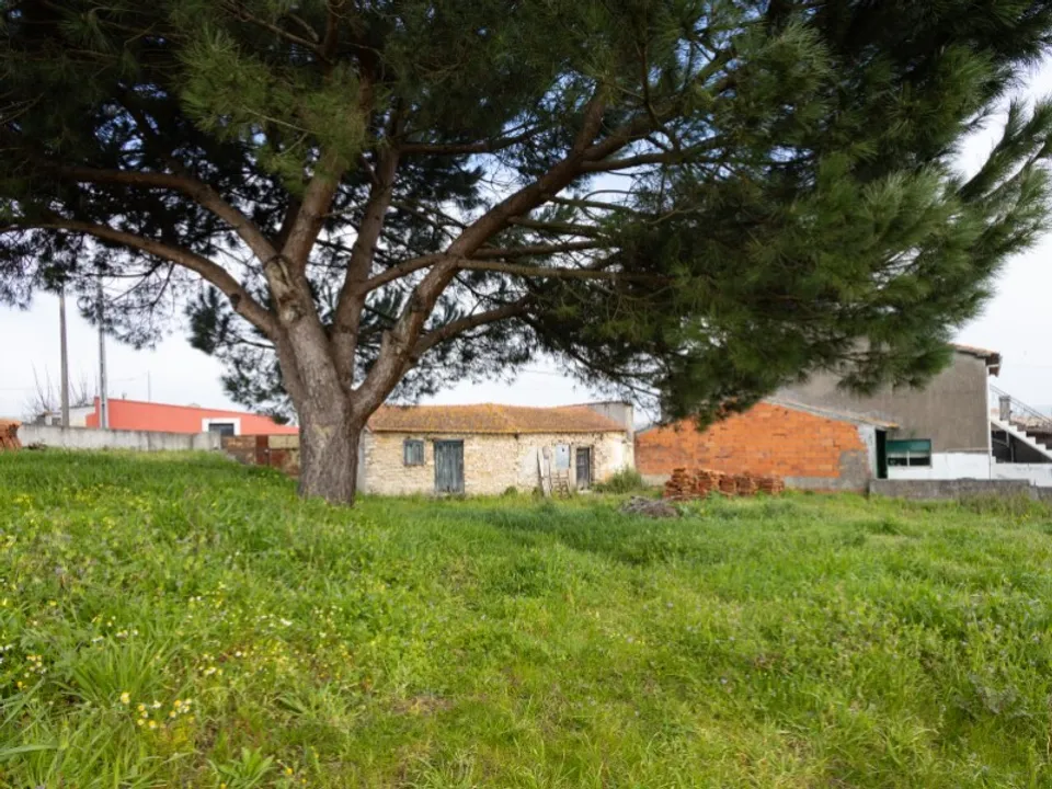 Landejendom i Montemor-o-Velho, Coimbra - foto 1