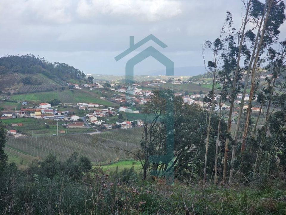 Helårsgrund i Alcobaca, Leiria - foto 4