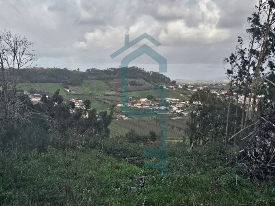 Helårsgrund i Alcobaca, Leiria - foto 5