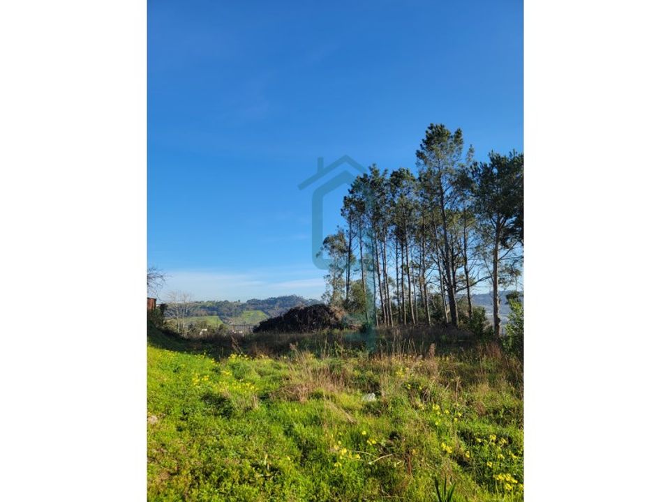 Helårsgrund i Alcobaca, Leiria - foto 1