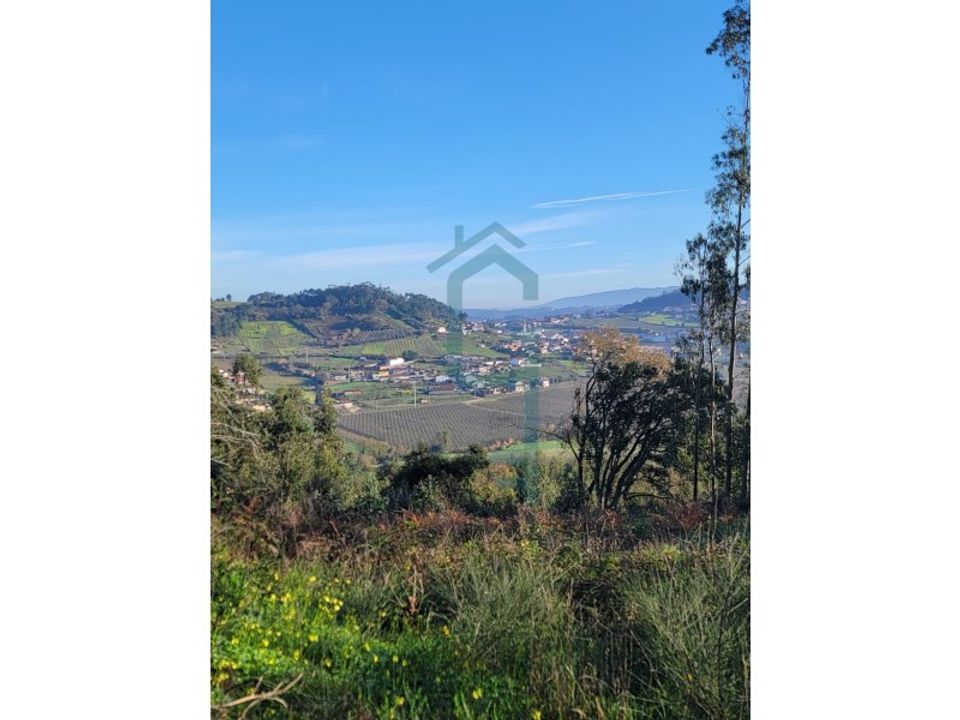 Helårsgrund i Alcobaca, Leiria - foto 1