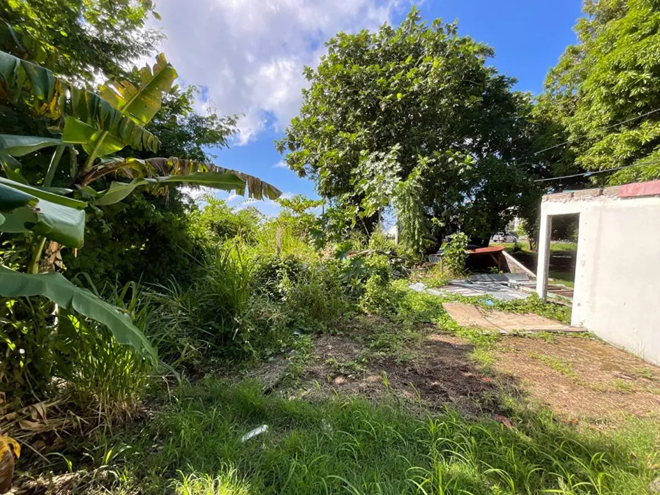 Helårsgrund i Basse-Terre, Guadeloupe - foto 2